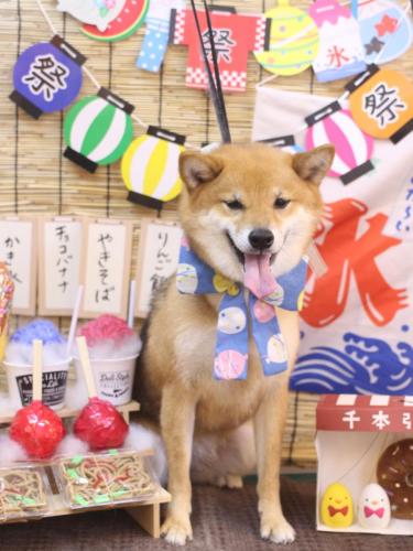 20240710リンちゃん